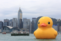 The giant rubber duck in Hong Kong